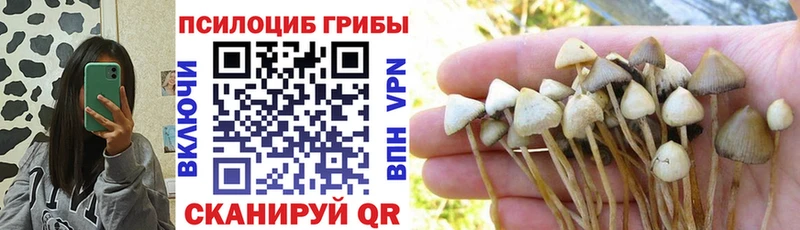 Галлюциногенные грибы Psilocybine cubensis  Купить где  Углич 