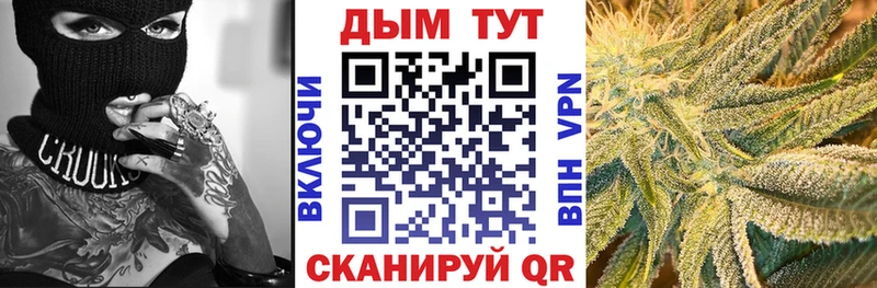 Бошки Шишки OG Kush  Купить где  Углич 