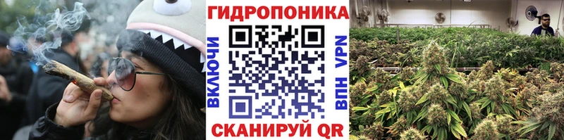 Канабис MAZAR Углич